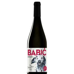 Testament Dalmation Dog Babic  2021