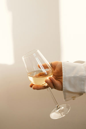 Wine Class: Wine 101